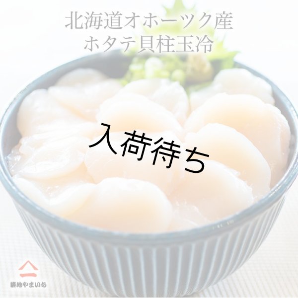 画像1: 北海道 猿払産 ホタテ 玉冷 冷凍 貝柱 (1)