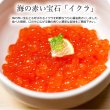 画像2: さけいくら醤油漬け500g（500g×1パック） (2)