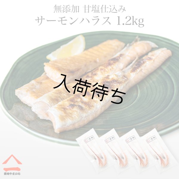 画像1: 無添加 甘塩 仕込み サーモンハラス 1.2kg （300gx4） (1)