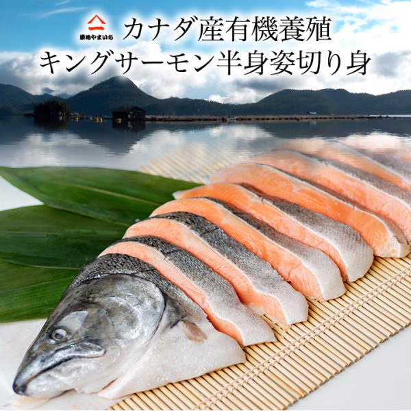 画像1: カナダ産 小分け 有機養殖 キングサーモン半身姿切り身1枚半身（約1.60kg〜約1.69kg） (1)