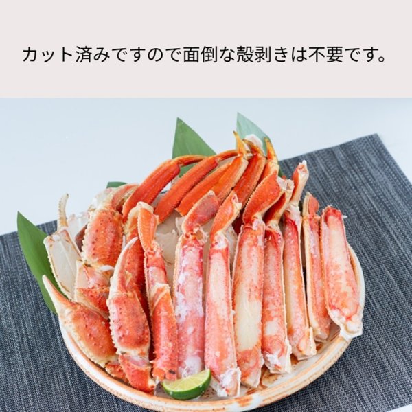 画像2: ボイルずわいがに ハーフポーションカット１kg (2)