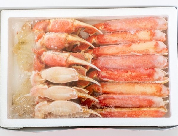 画像5: ボイルずわいがに ハーフポーションカット１kg (5)